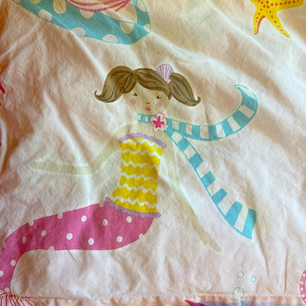 Full/Double Pottery Barn duvet and sham/pillow case set